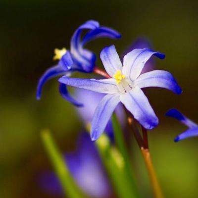 NG体育APP官方下载网址手机app下载